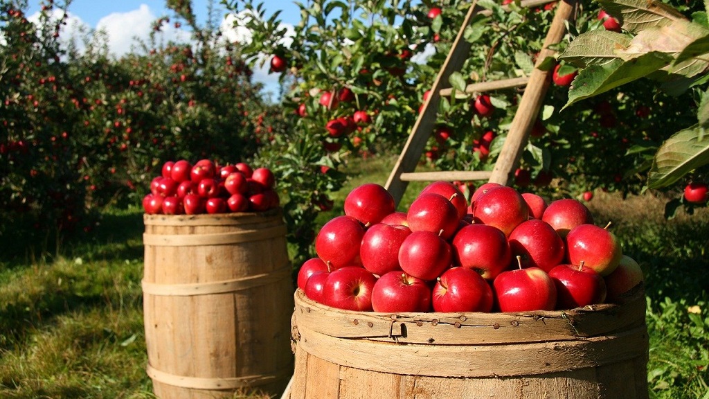 Key Trends Shaping Agriculture This Year