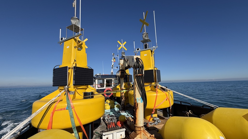 Versemar Launches Environmental Monitoring Plan for Beach Restoration