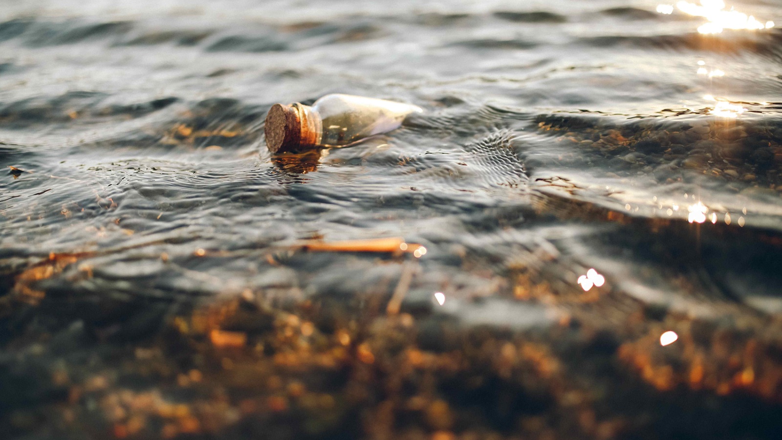 AI and Digital Twins to Prevent River Pollution